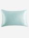 (image for) Pale Turquoise