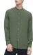(image for) Olive Green