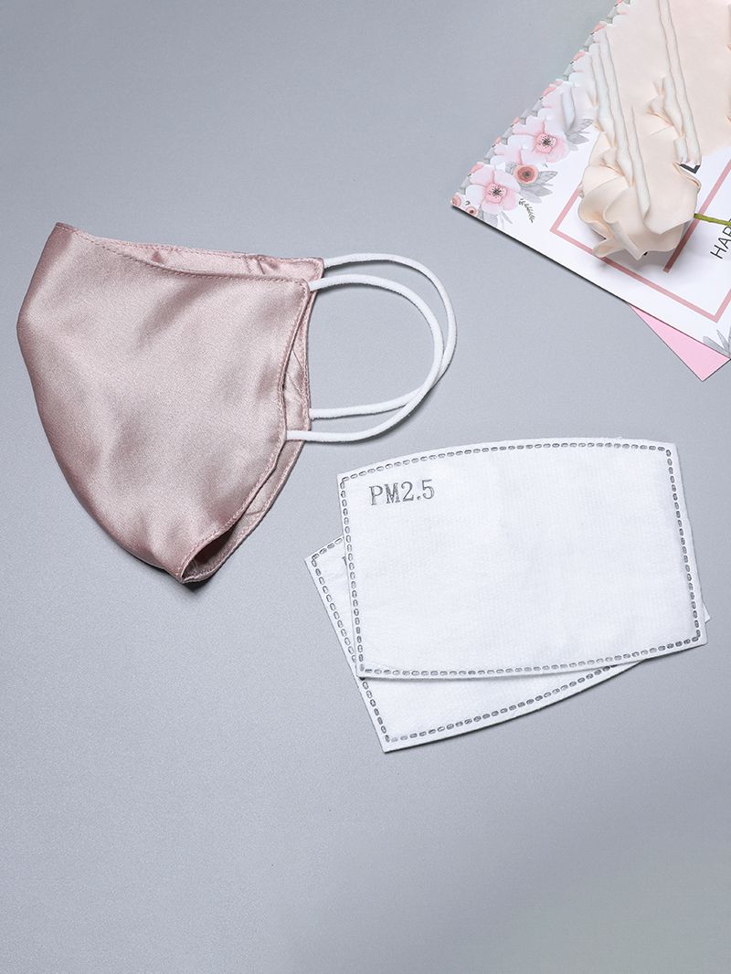 (image for) Mulberry Silk Face Mask PM2.5 Filter Pocket